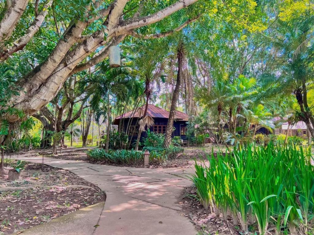 Pai Hotsprings Spa Resort Bagian luar foto